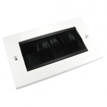 Dual Gang Black Brush Plate